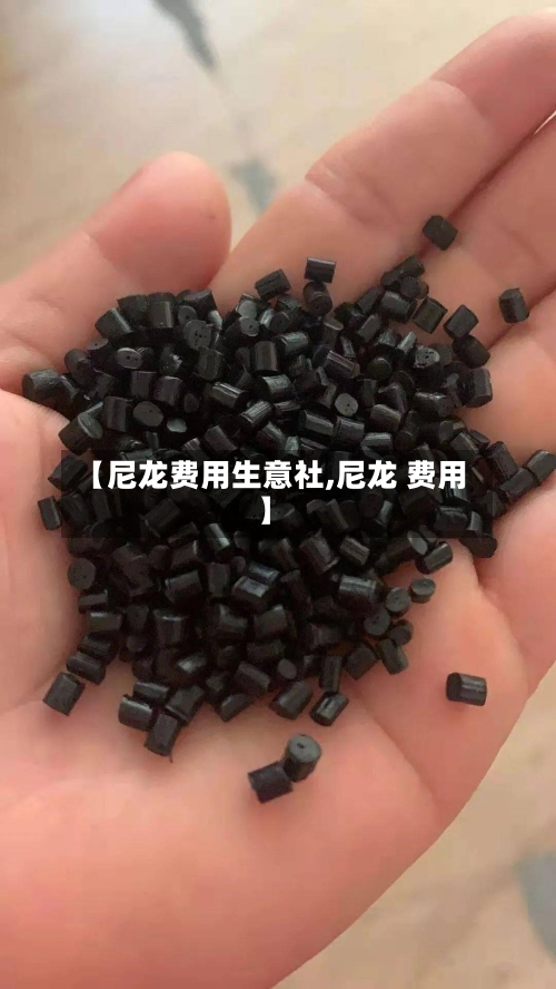 【尼龙费用生意社,尼龙 费用】