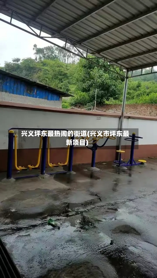 兴义坪东最热闹的街道(兴义市坪东最新项目)