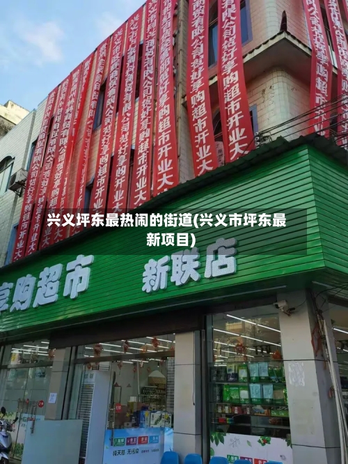 兴义坪东最热闹的街道(兴义市坪东最新项目)-第2张图片