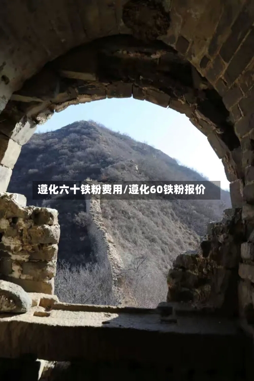 遵化六十铁粉费用/遵化60铁粉报价
