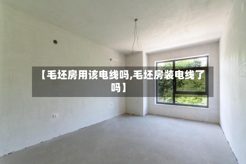 【毛坯房用该电线吗,毛坯房装电线了吗】-第2张图片