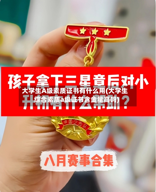 大学生A级素质证书有什么用(大学生综合素质a级证书含金量高吗)-第2张图片