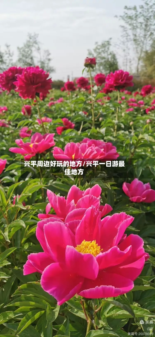 兴平周边好玩的地方/兴平一日游最佳地方-第2张图片