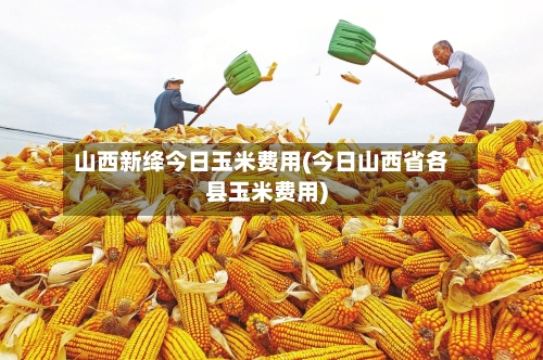 山西新绛今日玉米费用(今日山西省各县玉米费用)-第3张图片