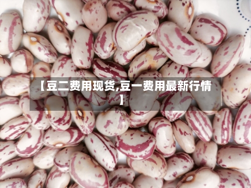 【豆二费用现货,豆一费用最新行情】