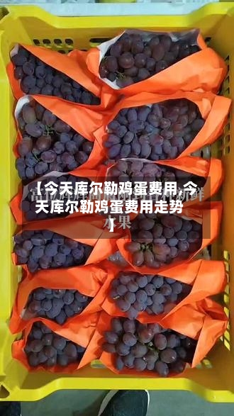 【今天库尔勒鸡蛋费用,今天库尔勒鸡蛋费用走势】-第2张图片