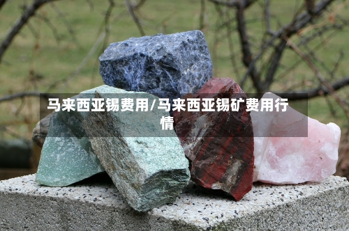 马来西亚锡费用/马来西亚锡矿费用行情-第2张图片
