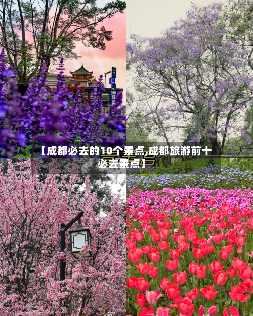 【成都必去的10个景点,成都旅游前十必去景点】-第2张图片