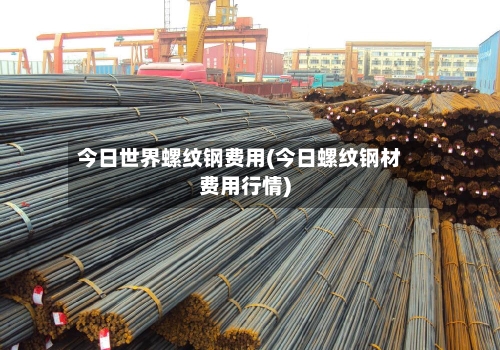 今日世界螺纹钢费用(今日螺纹钢材费用行情)-第2张图片