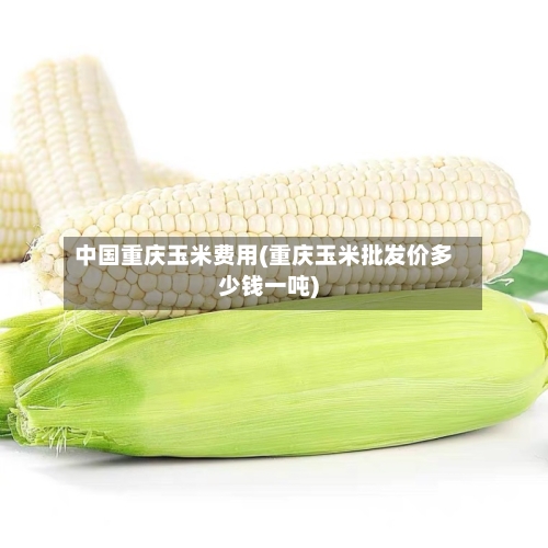 中国重庆玉米费用(重庆玉米批发价多少钱一吨)