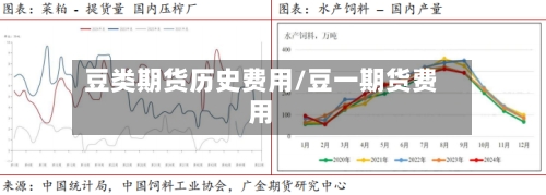 豆类期货历史费用/豆一期货费用