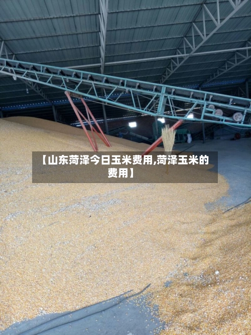 【山东菏泽今日玉米费用,菏泽玉米的费用】-第3张图片