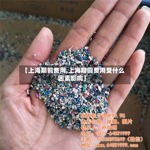 【上海期铜费用,上海期铜费用受什么因素影响】