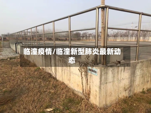 临潼疫情/临潼新型肺炎最新动态-第3张图片