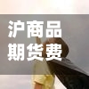 沪商品期货费用(商品期货费用查询)
