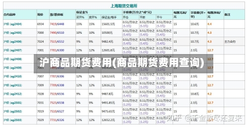 沪商品期货费用(商品期货费用查询)-第2张图片