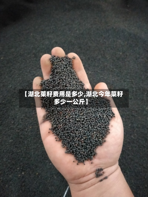 【湖北莱籽费用是多少,湖北今年菜籽多少一公斤】-第1张图片