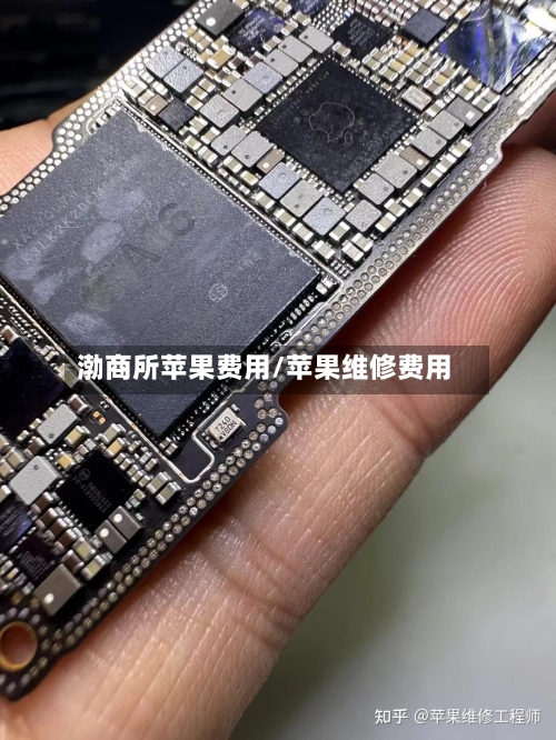 渤商所苹果费用/苹果维修费用-第3张图片