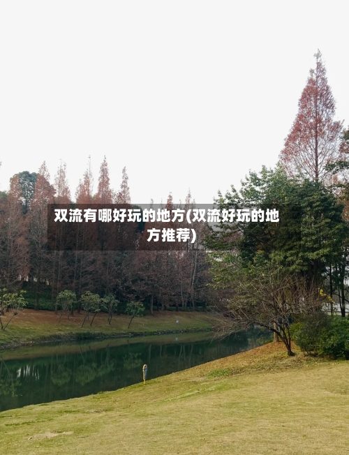 双流有哪好玩的地方(双流好玩的地方推荐)