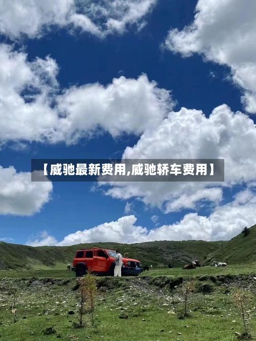 【威驰最新费用,威驰轿车费用】
