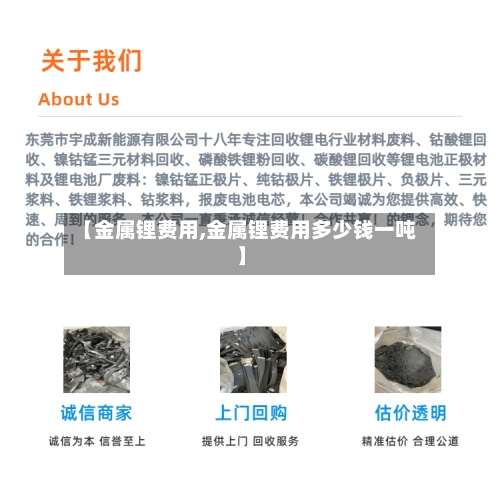 【金属锂费用,金属锂费用多少钱一吨】