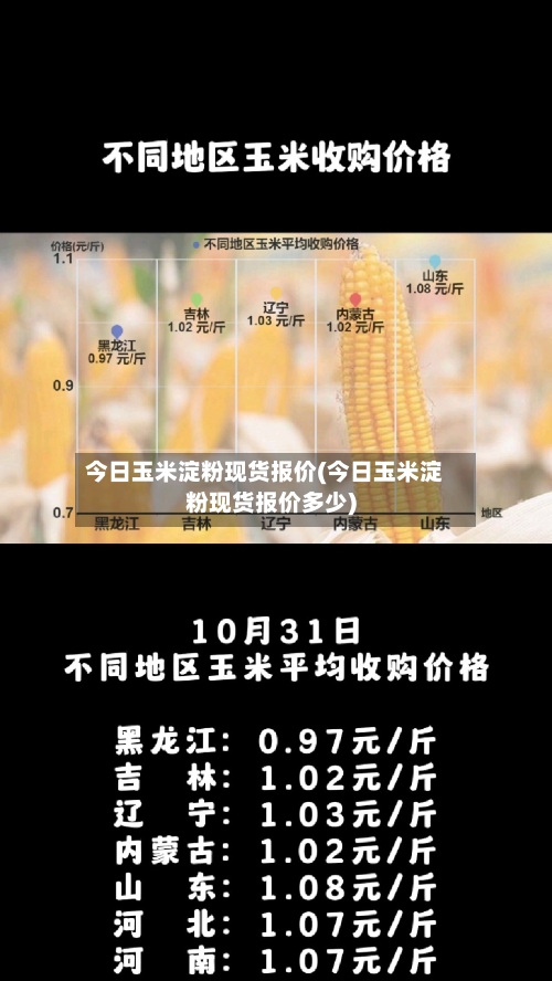 今日玉米淀粉现货报价(今日玉米淀粉现货报价多少)-第2张图片