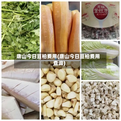 唐山今日豆柏费用(唐山今日豆柏费用查询)