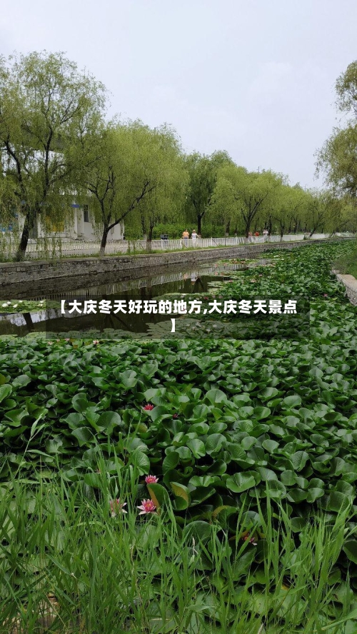 【大庆冬天好玩的地方,大庆冬天景点】