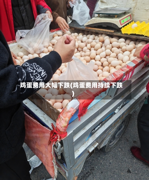 鸡蛋费用大幅下跌(鸡蛋费用持续下跌)-第2张图片