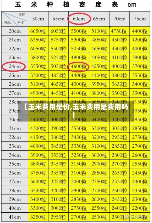 【玉米费用是价,玉米费用是费用吗】