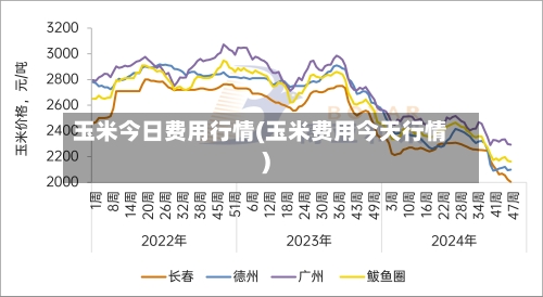 玉米今日费用行情(玉米费用今天行情)