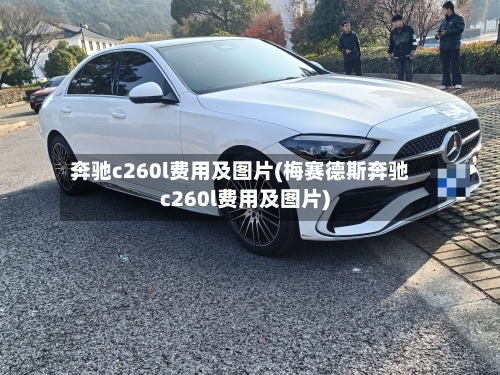 奔驰c260l费用及图片(梅赛德斯奔驰c260l费用及图片)
