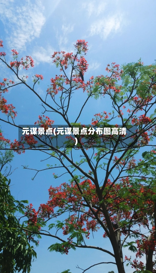 元谋景点(元谋景点分布图高清)
