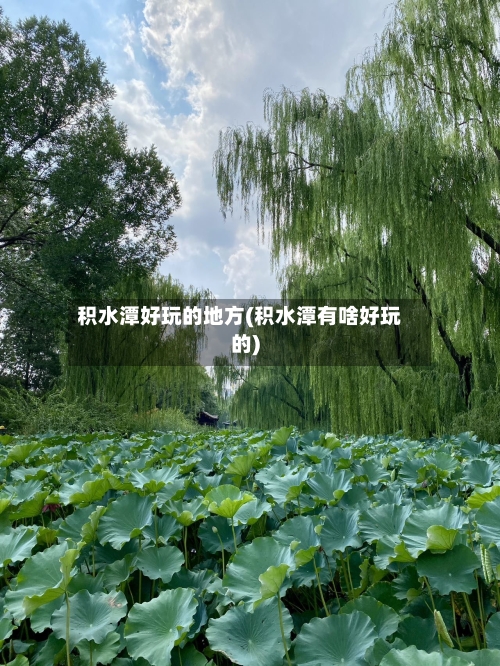 积水潭好玩的地方(积水潭有啥好玩的)