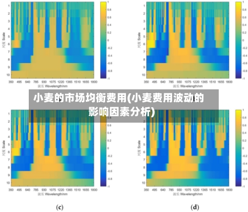小麦的市场均衡费用(小麦费用波动的影响因素分析)-第3张图片