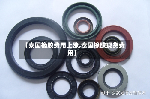 【泰国橡胶费用上涨,泰国橡胶现货费用】