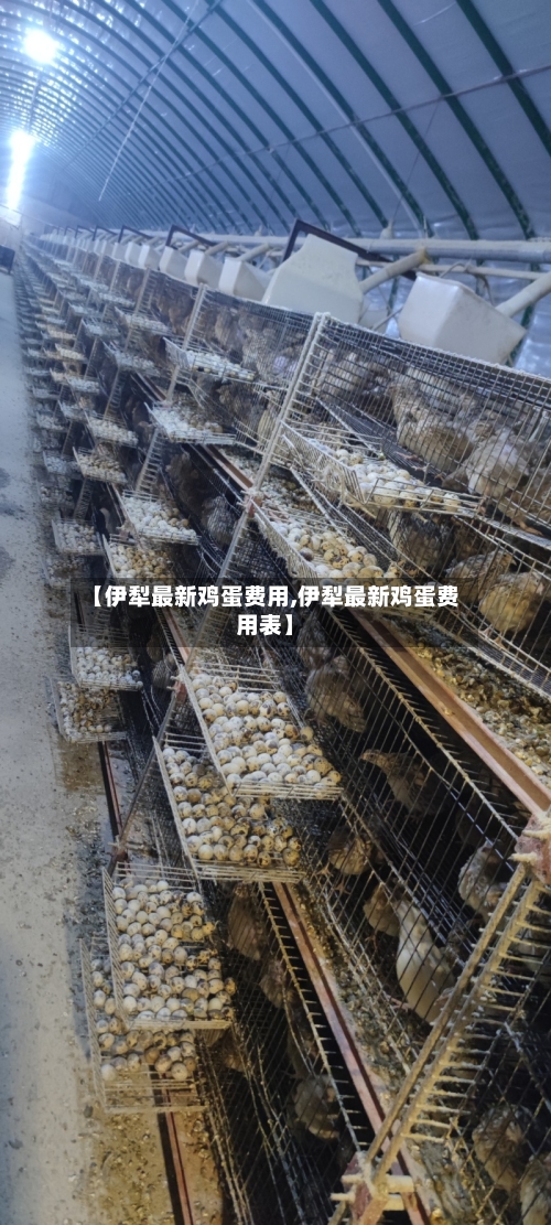 【伊犁最新鸡蛋费用,伊犁最新鸡蛋费用表】-第3张图片