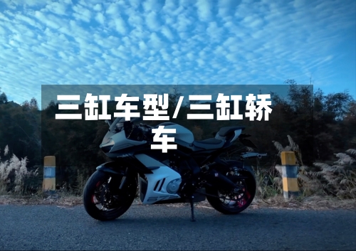 三缸车型/三缸轿车-第2张图片