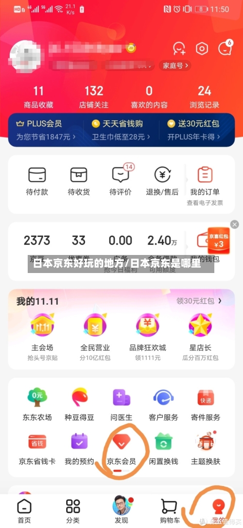 日本京东好玩的地方/日本京东是哪里-第3张图片