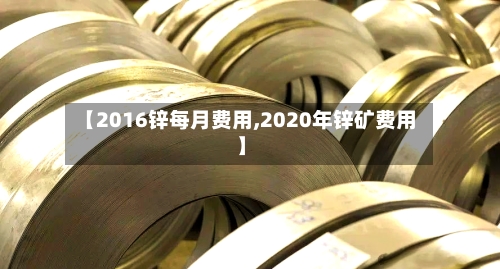 【2016锌每月费用,2020年锌矿费用】