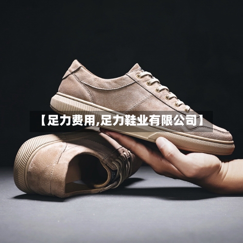【足力费用,足力鞋业有限公司】
