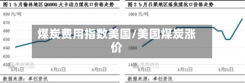 煤炭费用指数美国/美国煤炭涨价