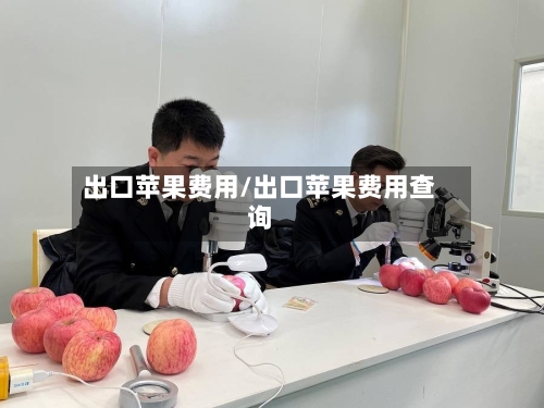 出口苹果费用/出口苹果费用查询