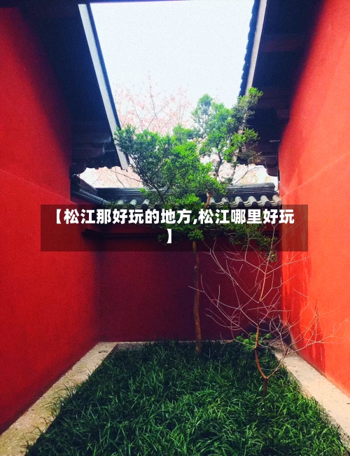 【松江那好玩的地方,松江哪里好玩】