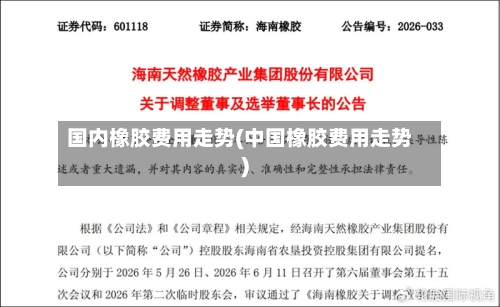 国内橡胶费用走势(中国橡胶费用走势)-第3张图片