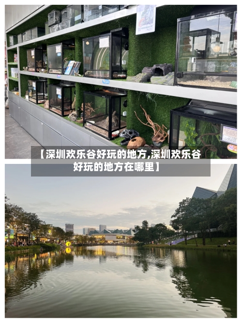 【深圳欢乐谷好玩的地方,深圳欢乐谷好玩的地方在哪里】-第3张图片