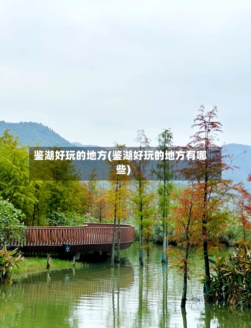 鉴湖好玩的地方(鉴湖好玩的地方有哪些)-第3张图片