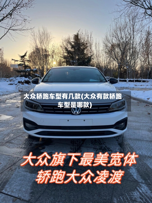 大众轿跑车型有几款(大众有款轿跑车型是哪款)