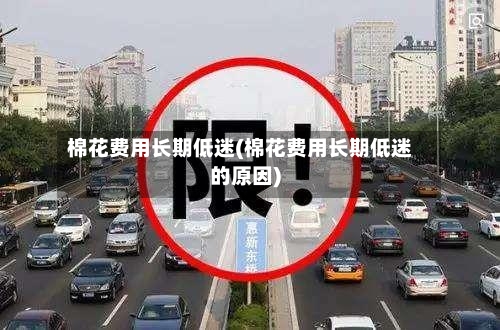棉花费用长期低迷(棉花费用长期低迷的原因)-第3张图片