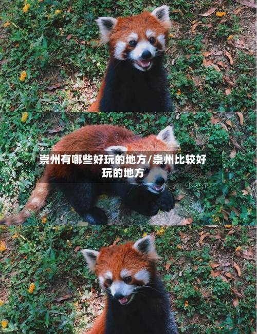 崇州有哪些好玩的地方/崇州比较好玩的地方-第2张图片